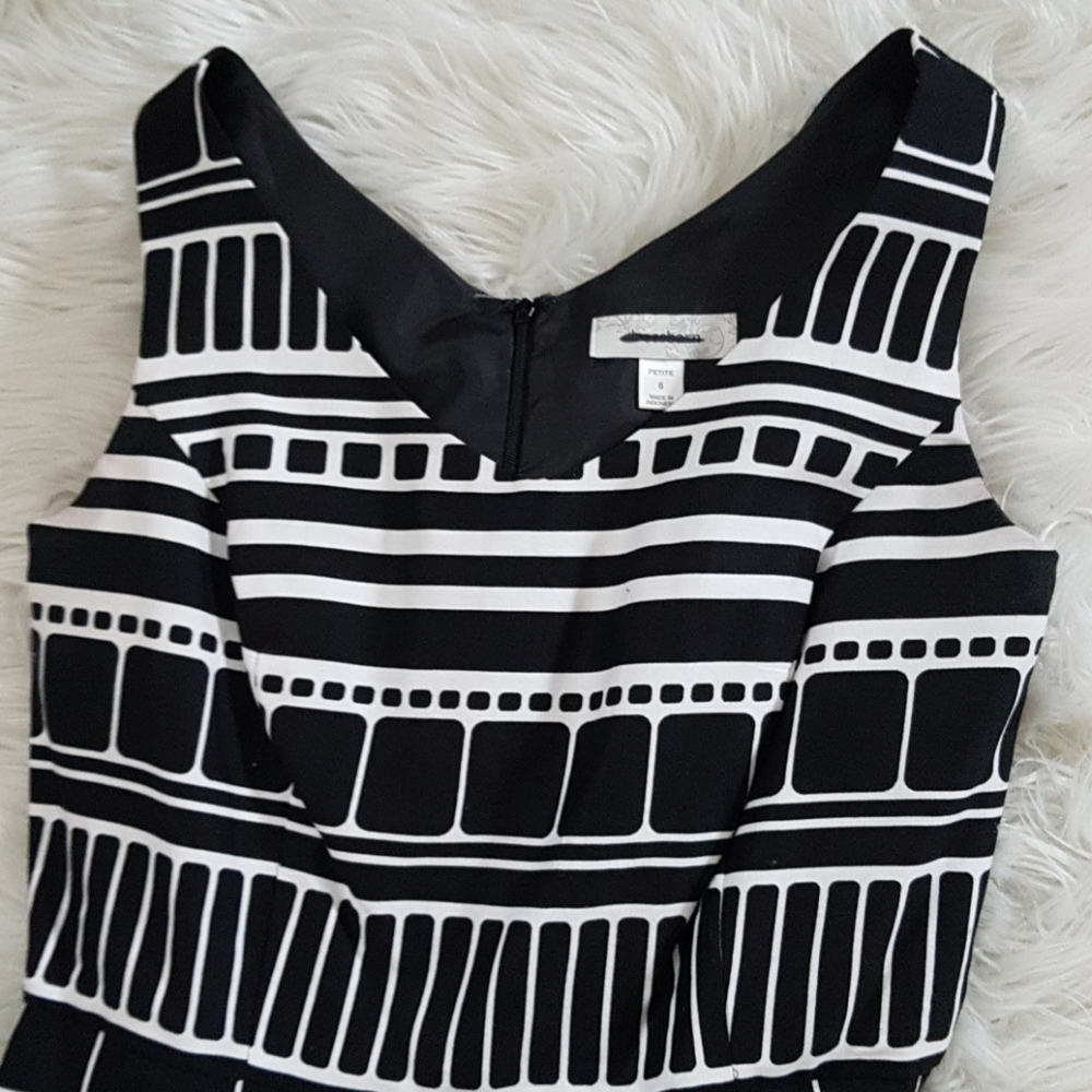 Dress Barn Frock dress
